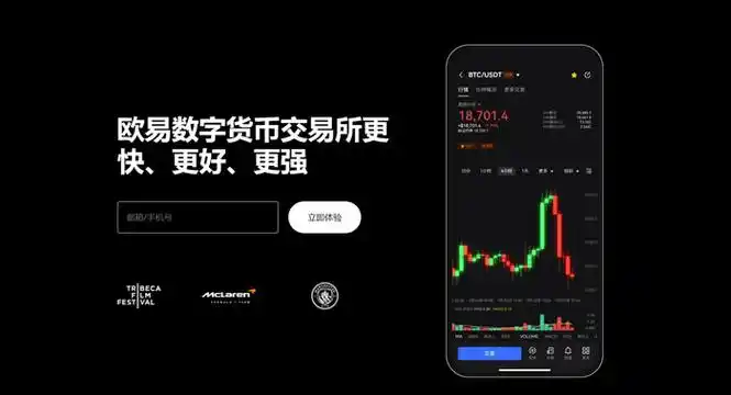 代币查询软件页面展示